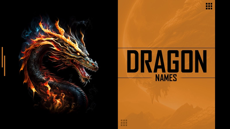 1100 Dragon Names