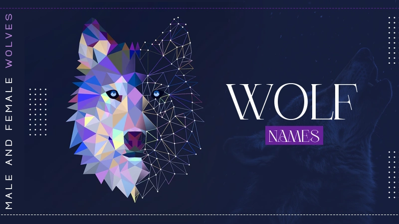 wolf names