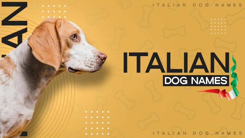 italian dogs name