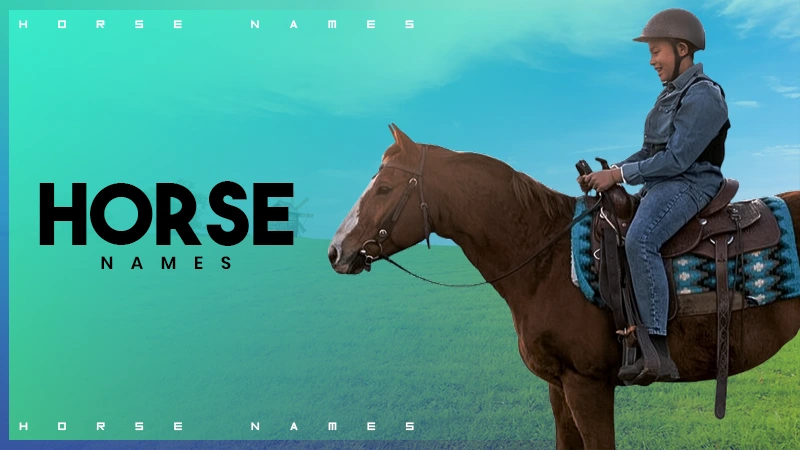 horse name