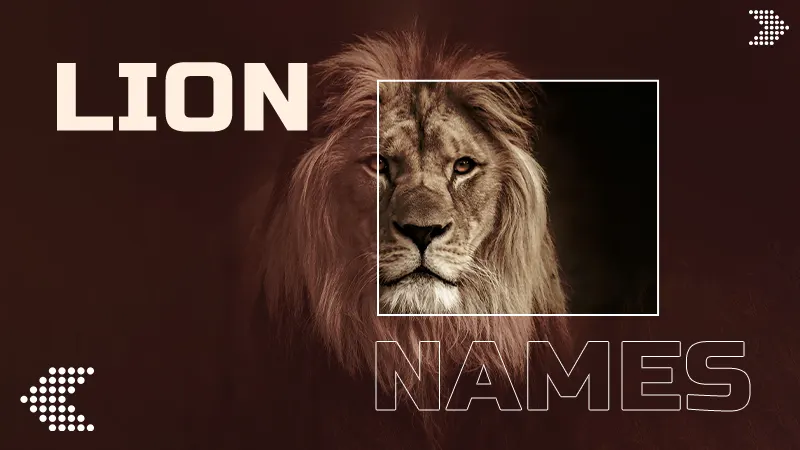 names of lion